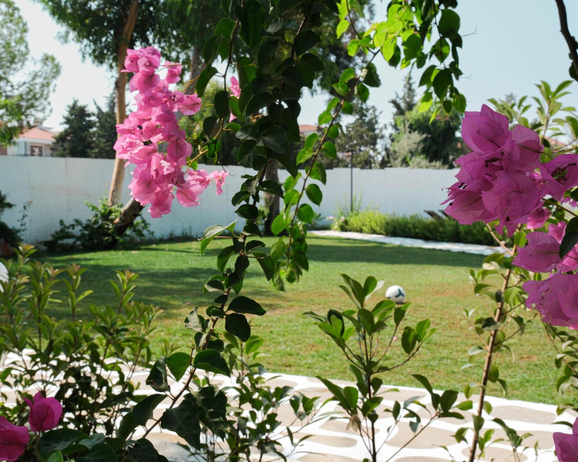 Hotel Sigacik Gaea